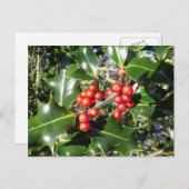 Weihnachtsstechpalmen-Beeren auf Stechpalme Feiertagspostkarte (Vorne/Hinten)