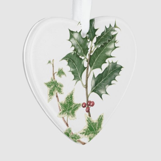 Weihnachtsstechpalmen-u. -efeu-botanische ornament (Vorderseite)