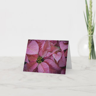 Weihnachtsstern (2) dankeskarte