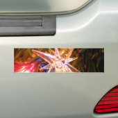 Weihnachtsstern Autoaufkleber (Auf Auto)