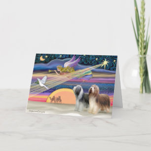 Weihnachtsstern - Bartete Colliese (zwei) Feiertagskarte