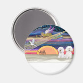 Weihnachtsstern - Bichon Frise (zwei) Magnet (Vorderseite/Rückseite)