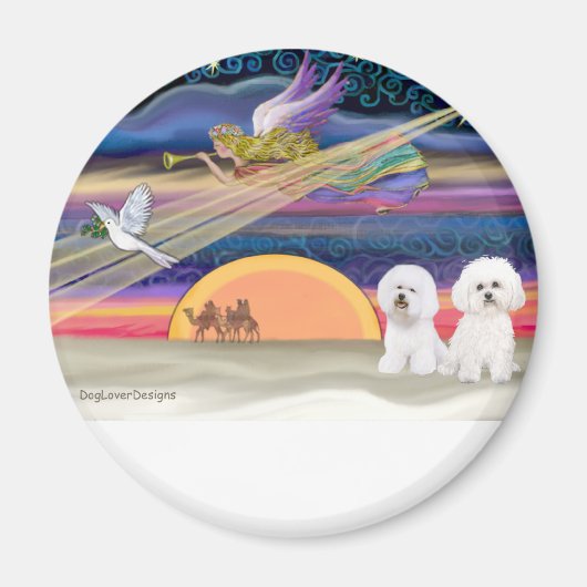 Weihnachtsstern - Bichon Frise (zwei) Magnet (Vorne)