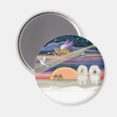 Weihnachtsstern - Bolognese (zwei) Magnet (Vorderseite/Rückseite)