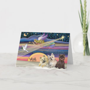 Weihnachtsstern - Cairn Terrier (drei) - Feiertagskarte