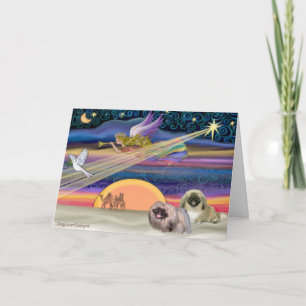 Weihnachtsstern - Pekingese (zwei) Feiertagskarte