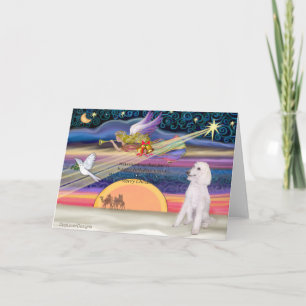 Weihnachtsstern - Poodle (weiß Standard) - Feiertagskarte