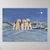 Weihnachtsstern Poster (Vorne)