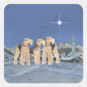 Weihnachtsstern Quadratischer Aufkleber