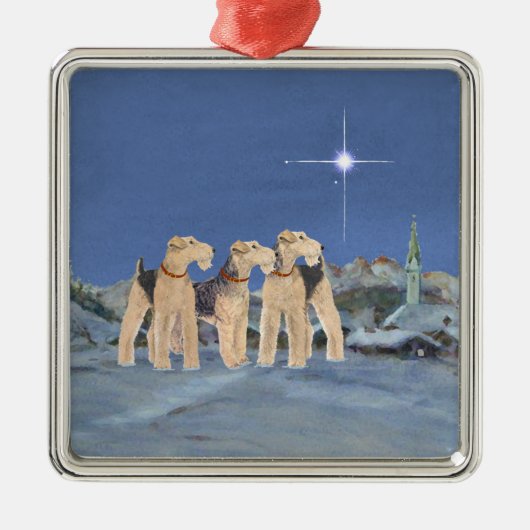 Weihnachtsstern Silbernes Ornament (Vorne)