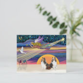 Weihnachtsstern - Zwei Shelties Feiertagspostkarte (Stehend Vorderseite)