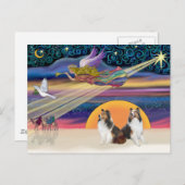 Weihnachtsstern - Zwei Shelties Feiertagspostkarte (Vorne/Hinten)