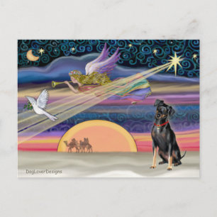 Weihnachtsstern - Zwergpinscher 1 Feiertagspostkarte