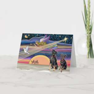 Weihnachtsstern - Zwergpinscher (zwei) Feiertagskarte