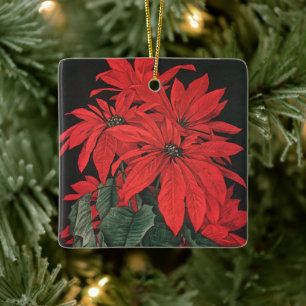 Weihnachtssterne Rot Pflanzen Blumen im Vintage St Keramikornament