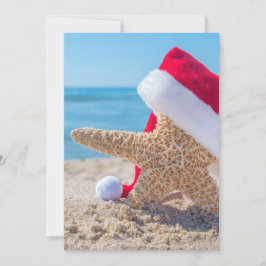 Weihnachtssternengeschäft