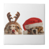 Weihnachtsstillhunde Keramik Tile Fliese (Vorderseite)