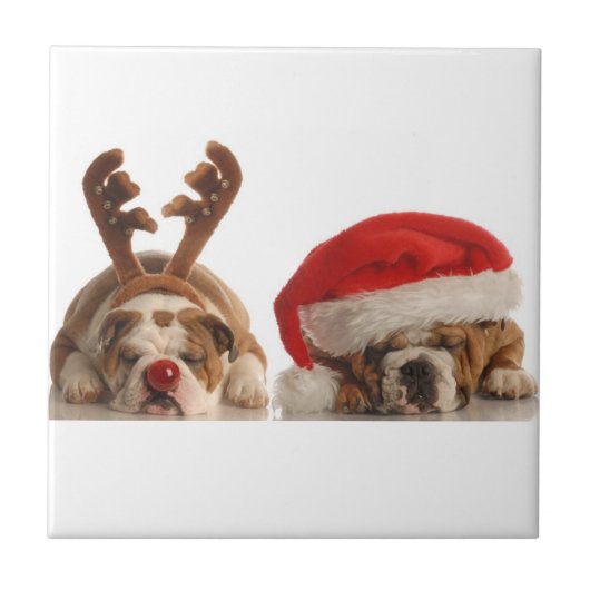 Weihnachtsstillhunde Keramik Tile Fliese (Vorderseite)