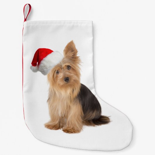 WeihnachtsStrumpf Sankt Yorkie Kleiner Weihnachtsstrumpf (Vorderseite)