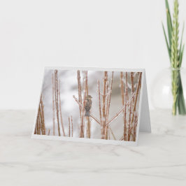 Weihnachtstiervogel-Spatz auf einer gefrorenen Feiertagskarte