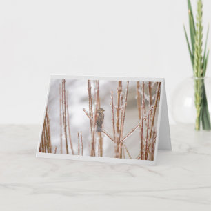 Weihnachtstiervogel-Spatz auf einer gefrorenen Feiertagskarte