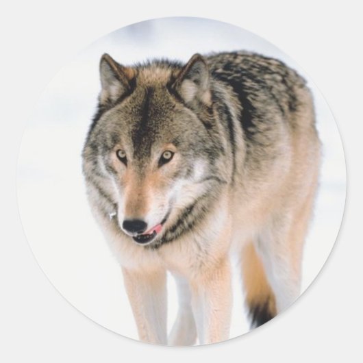 WeihnachtsUmschlag Aufkleber (Vorderseite)