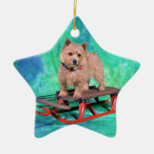 Weihnachtsverzierung Norwichs Terrier Keramikornament (Vorne)