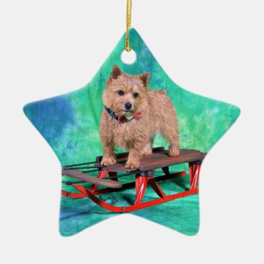 Weihnachtsverzierung Norwichs Terrier Keramikornament (Vorne)