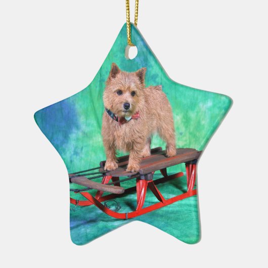 Weihnachtsverzierung Norwichs Terrier Keramikornament (Links)