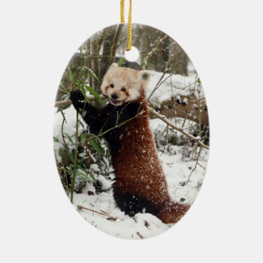 Weihnachtsverzierung - roter Panda Keramik Ornament (Hinten)
