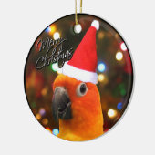 Weihnachtsverzierung Sankt Sun Conure Keramikornament (Links)