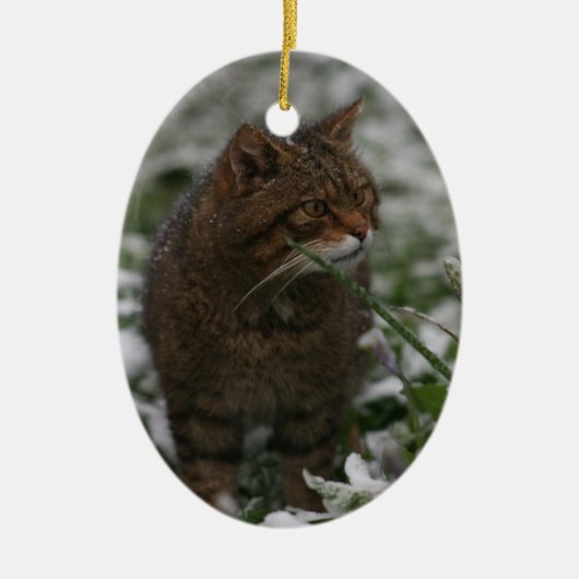 Weihnachtsverzierung - schottische Wildkatze Keramikornament (Vorne)