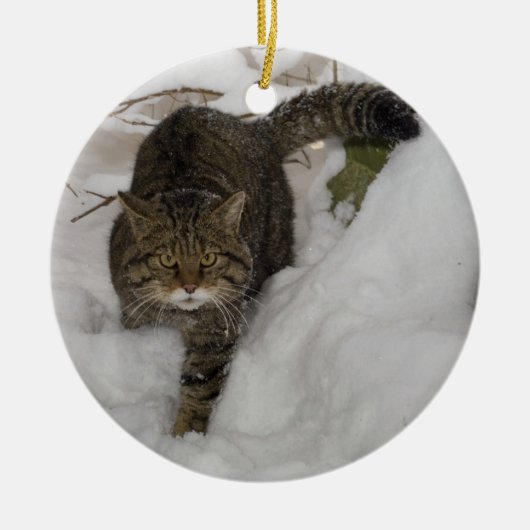 Weihnachtsverzierung - schottische Wildkatze Keramikornament (Vorne)