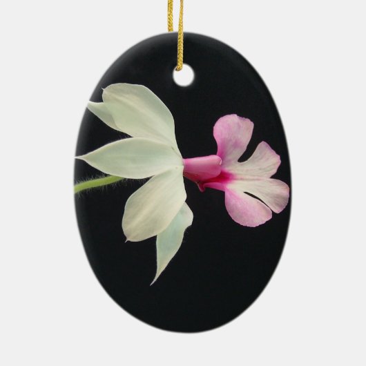 Weihnachtsverzierungs-Orchidee Keramikornament (Hinten)