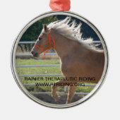 Weihnachtsverzierungs-Tango Silbernes Ornament (Vorne)