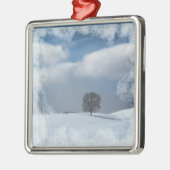Weihnachtsverzierungs-Winter-Einsamkeit Silbernes Ornament (Links)