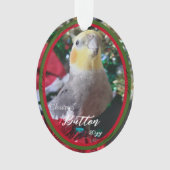 Weihnachtsvogel für Pet Acrylic individuell anpass Ornament (Vorderseite)