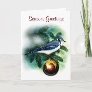 Weihnachtsvogel-hübsche blaue Jay-Gruß-Karte Feiertagskarte