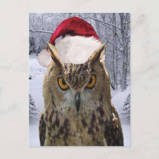 Weihnachtsvogel in einer Weihnachtsmannmütze Feiertagspostkarte (Vorderseite)
