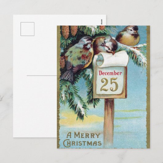 Weihnachtsvögel nach Karte (Vorne/Hinten)