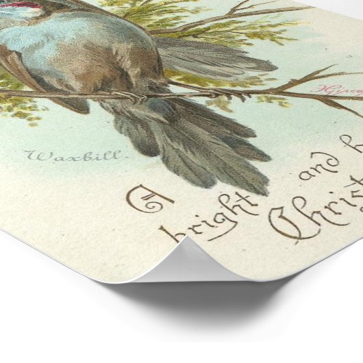 Weihnachtsvögel Poster (Ecke)
