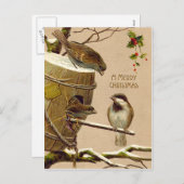 Weihnachtsvogel-Spatzbirdhouse-Stechpalme Feiertagspostkarte (Vorne/Hinten)