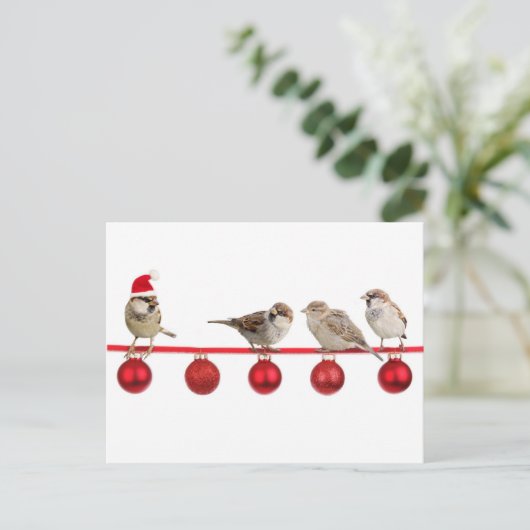 Weihnachtsvogelspatzen Feiertagspostkarte (Stehend Vorderseite)