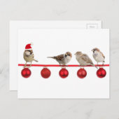 Weihnachtsvogelspatzen Feiertagspostkarte (Vorne/Hinten)