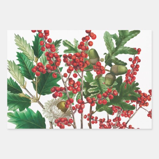 Weihnachtswald Festliche Berries Acorn Evergreen Geschenkpapier Set (Vorderseite 3)