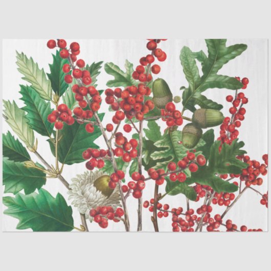Weihnachtswald Festliche Berries Acorn Evergreen Seidenpapier (Vorderseite)