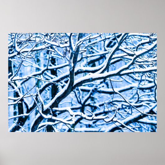 Weihnachtswald Poster (Vorne)