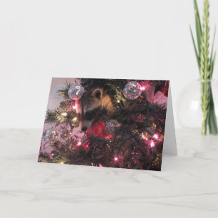 WeihnachtsWaschbär Feiertagskarte