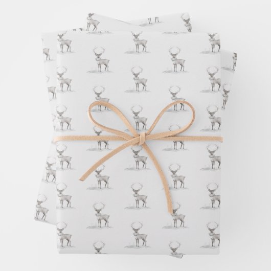 Weihnachtswasserschmuck mit stilvollem Akzent Geschenkpapier Set (Beispiel)