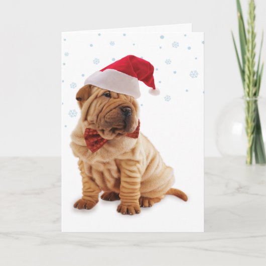 Weihnachtsweihnachtskarte Feiertagskarte (Vorderseite)